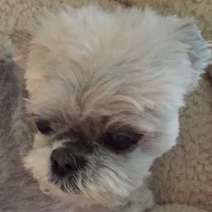 Meet your Posher, Edwina